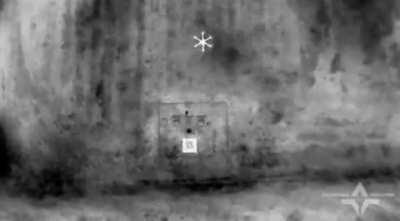 Autonomous technical observation post “Grenadier” was attacked by bomber drones in the Belgorod region. “Thunderstorm” platoon of the Russian Freedom Legion. Published on July 23, 2024