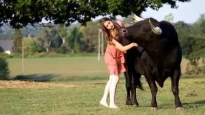 Rescued Bull gets the chin scritched