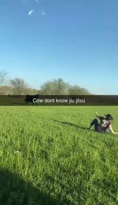 Cow doesn't know jiu jistu
