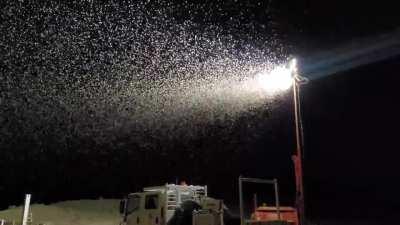 Outback Australia, 4 weeks after rain. Millions of moths for one night only.