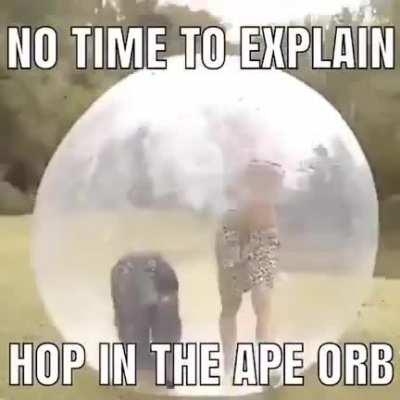 Ape orb