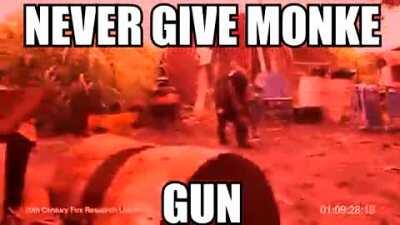 NEVER GIVE MONKE GUN