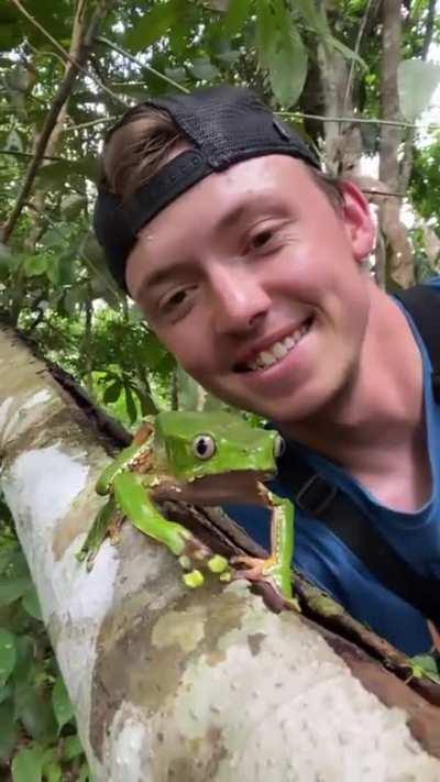 His face takes more real estate on the video than the frog itself.