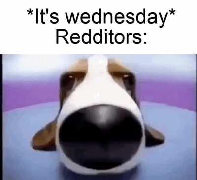 Wednesday is soon my dudes!