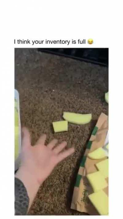 FUCK THIS SPONGE IN PARTICULAR