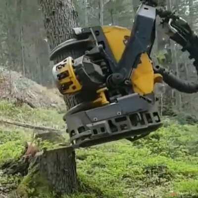 This tree cutting machine walked straight out of sci-fi movie