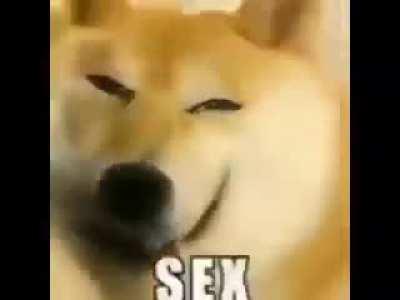 sex