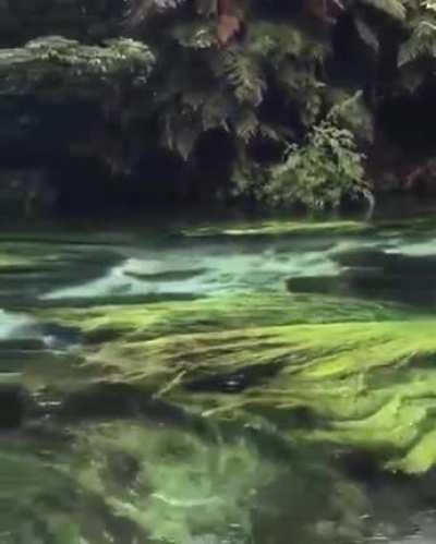 This river flowing