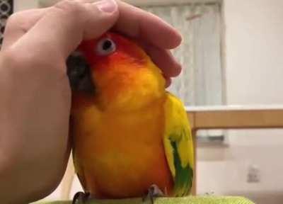 When he realizes the hand is friendly