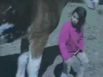 Idiot kid slaps and harasses a horse