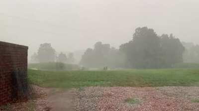 My garden getting rained on from the vantage of my studio, Kentucky :)