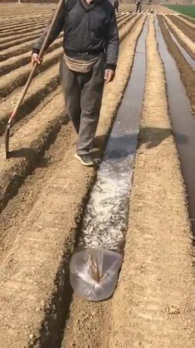 Rolling bag of water