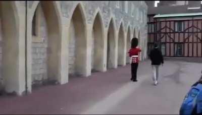 Touching a queen’s guard WCGW