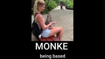 Monkey is based!1!!