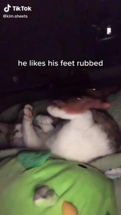 He likes his feet rubbed