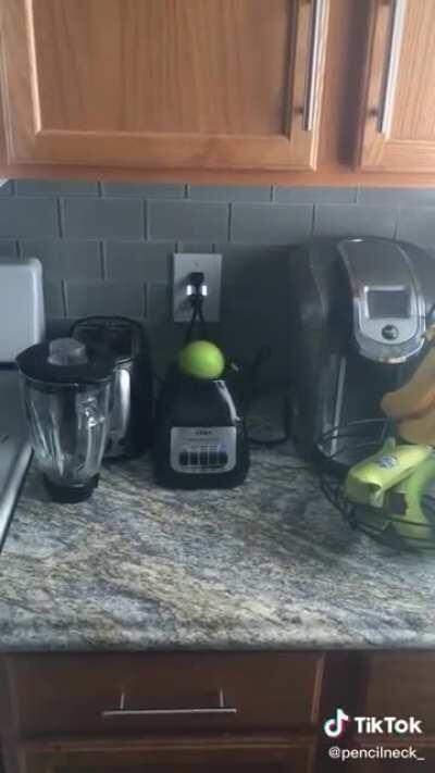 Apple Cutting ft. Blender