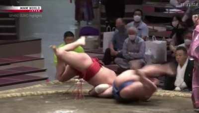 Hoshoryu may be the next yokozuna.