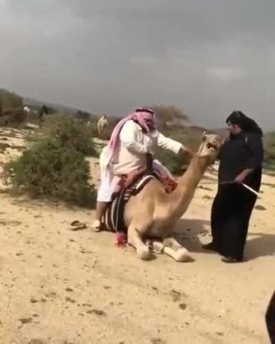 Takin a camel ride