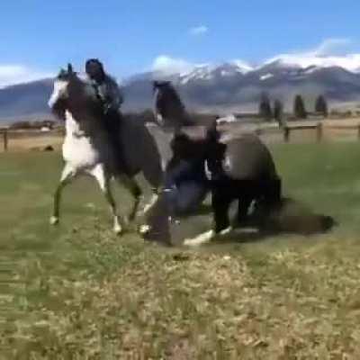 WCGW opening champagne bottles while riding a horse