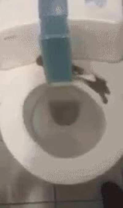 self cleaning toilet X-post from r/wtf