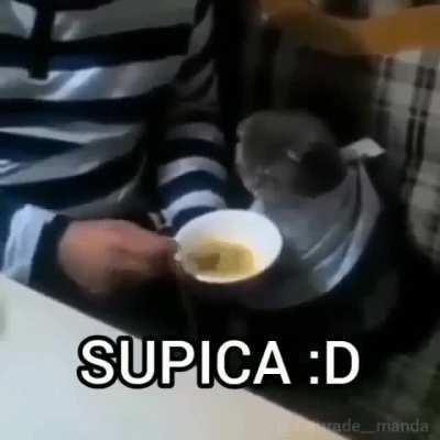 supica