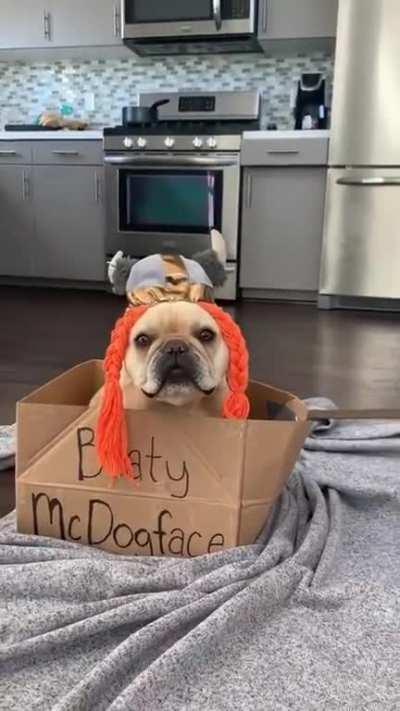 Boaty McDogface