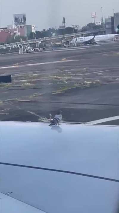 Bird learns what planes use runways for