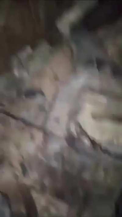 NSFW video shows the depravity of the russian forces as they desecrate dead Ukrainian soldiers