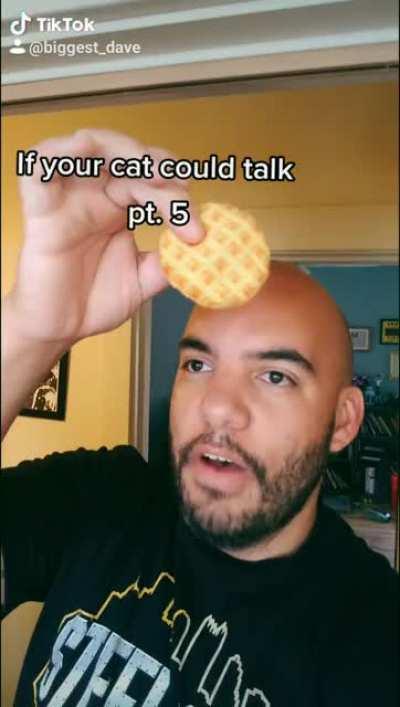 The 5th in my If Your Cat Could Talk videos