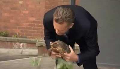 A tortoise called Charles Darwin officially opened a science laboratory at the University of Lincoln in 2015 (xpost from r/funny)