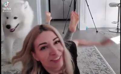 Alinity soles