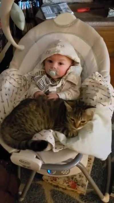 Baby making biscuits on a cat