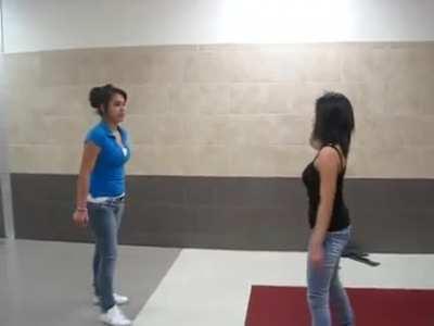 Hallway Fist Fight