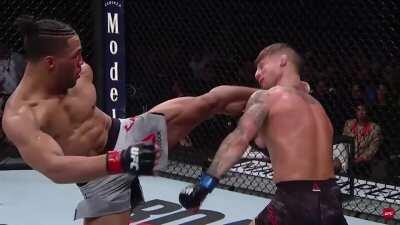 Ufc head kick knock out slow - mo