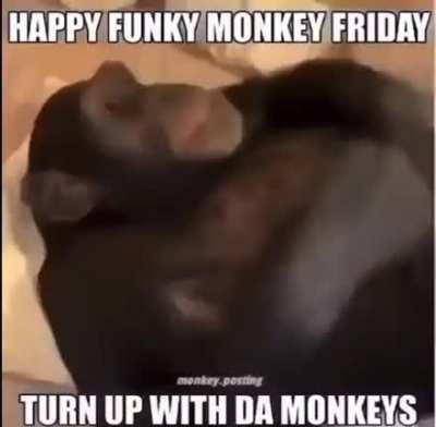 Funke monke