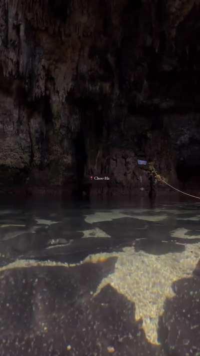 Cenote Swim