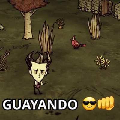 GUAYANDO😎👊