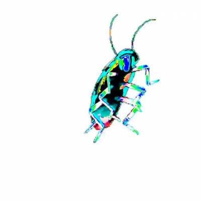 a crappy rgb roach but an rgb roach indeed