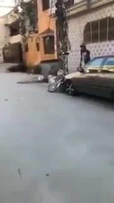 WCGW trying to avoid dog on a motorcycle.