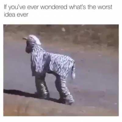 Idiots think they are a Zebra