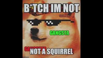 SHUT UP WE ARE NOT SQURREL!!! 💢😡😡😡