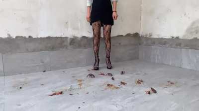 Goddess Lily, hard stomp craws, brutalβ¦