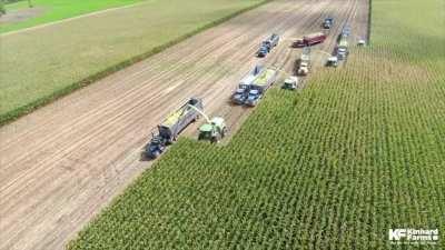 42 rows of corn harvested with each pass