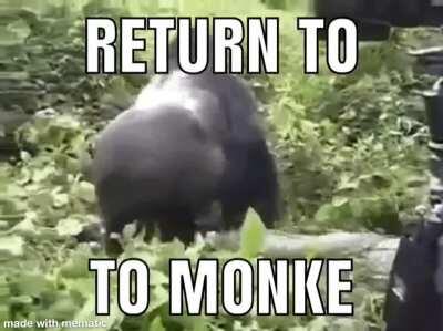 Reject Modernity, Return To MONKE