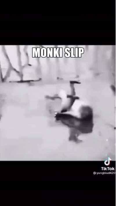 M O N K I