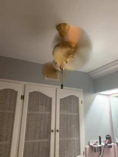 This fan in our new house.