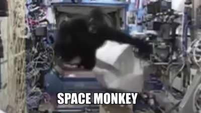 SPACEMONKEY OOO AAAAH