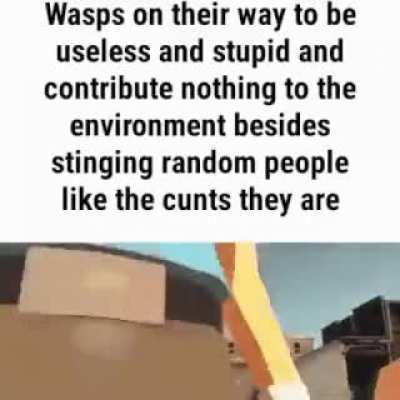 Wasps