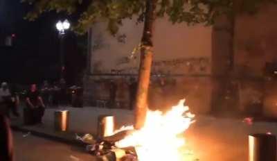 Tree set on fire outside the Portland federal courthouse