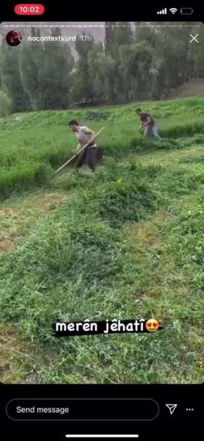 Does anyone know the name of the thing they’re using to cut the grass? In Kurmanji and in Turkish if anyone knows as well please